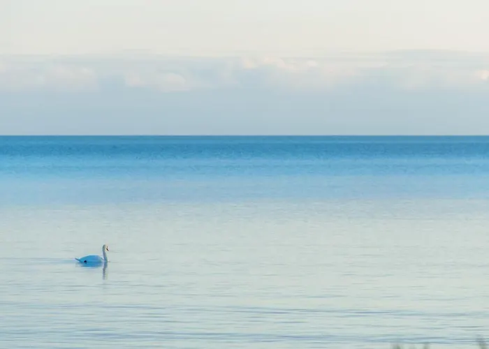 Modern Sea View By Kuus Solme